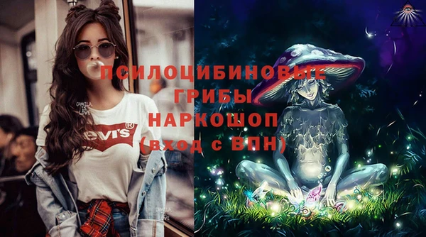 бошки Медногорск