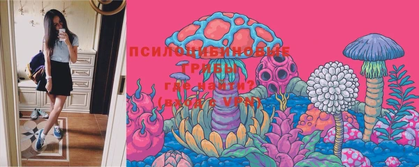 дживик Магас