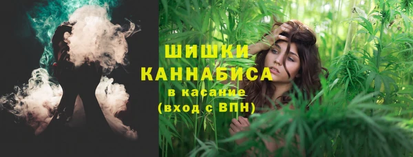 соль ск Мегион