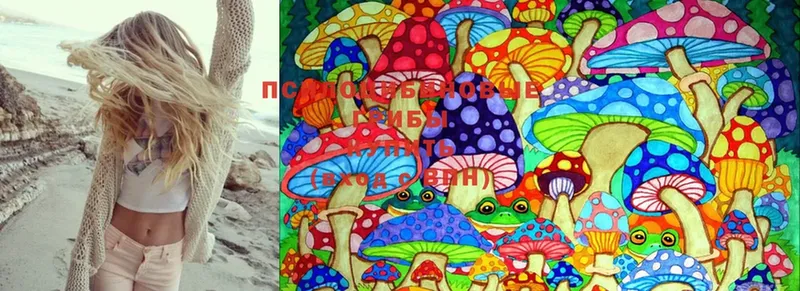 Галлюциногенные грибы Psilocybine cubensis  Ивдель 